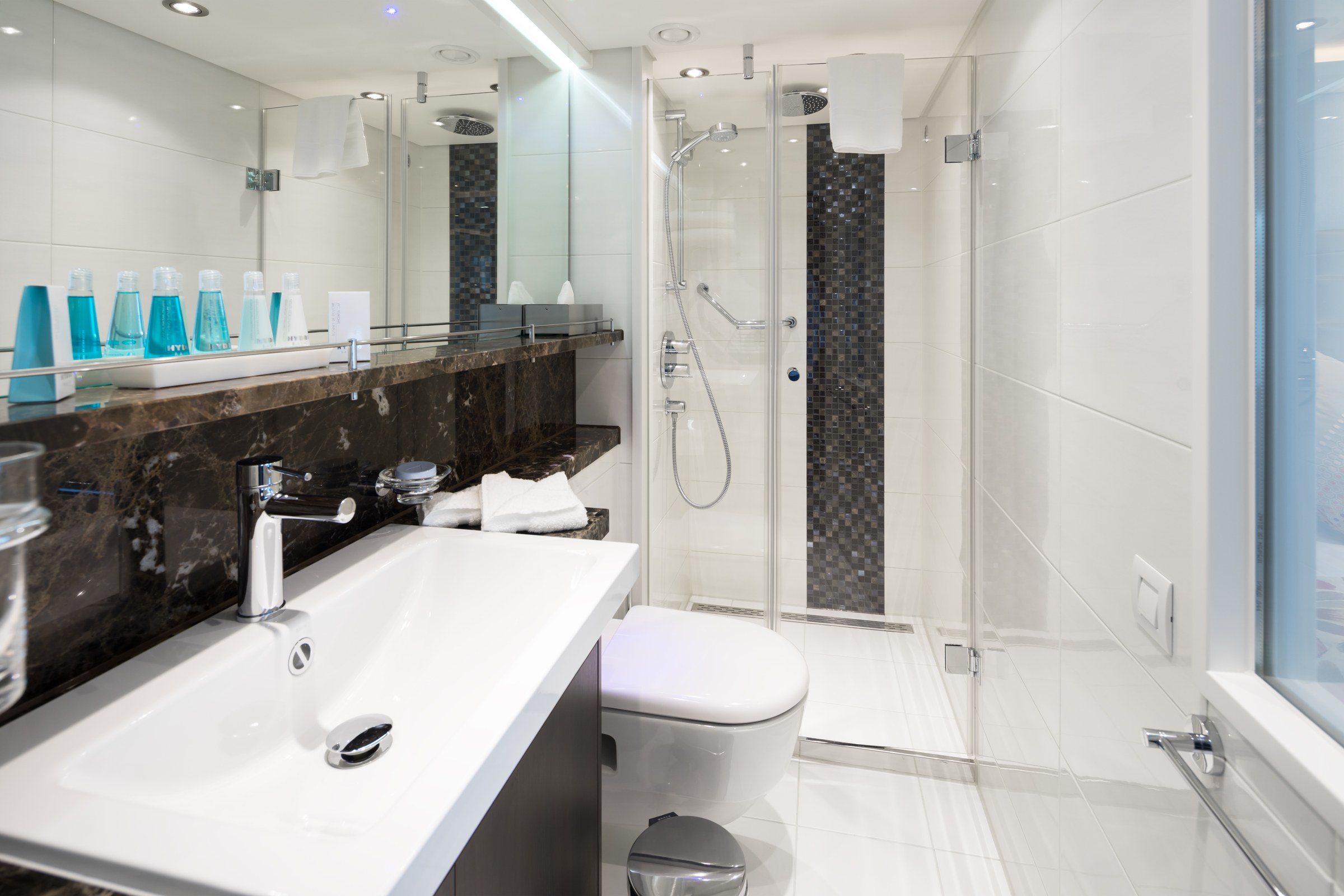 AmaLea Category AB stateroom bathroom