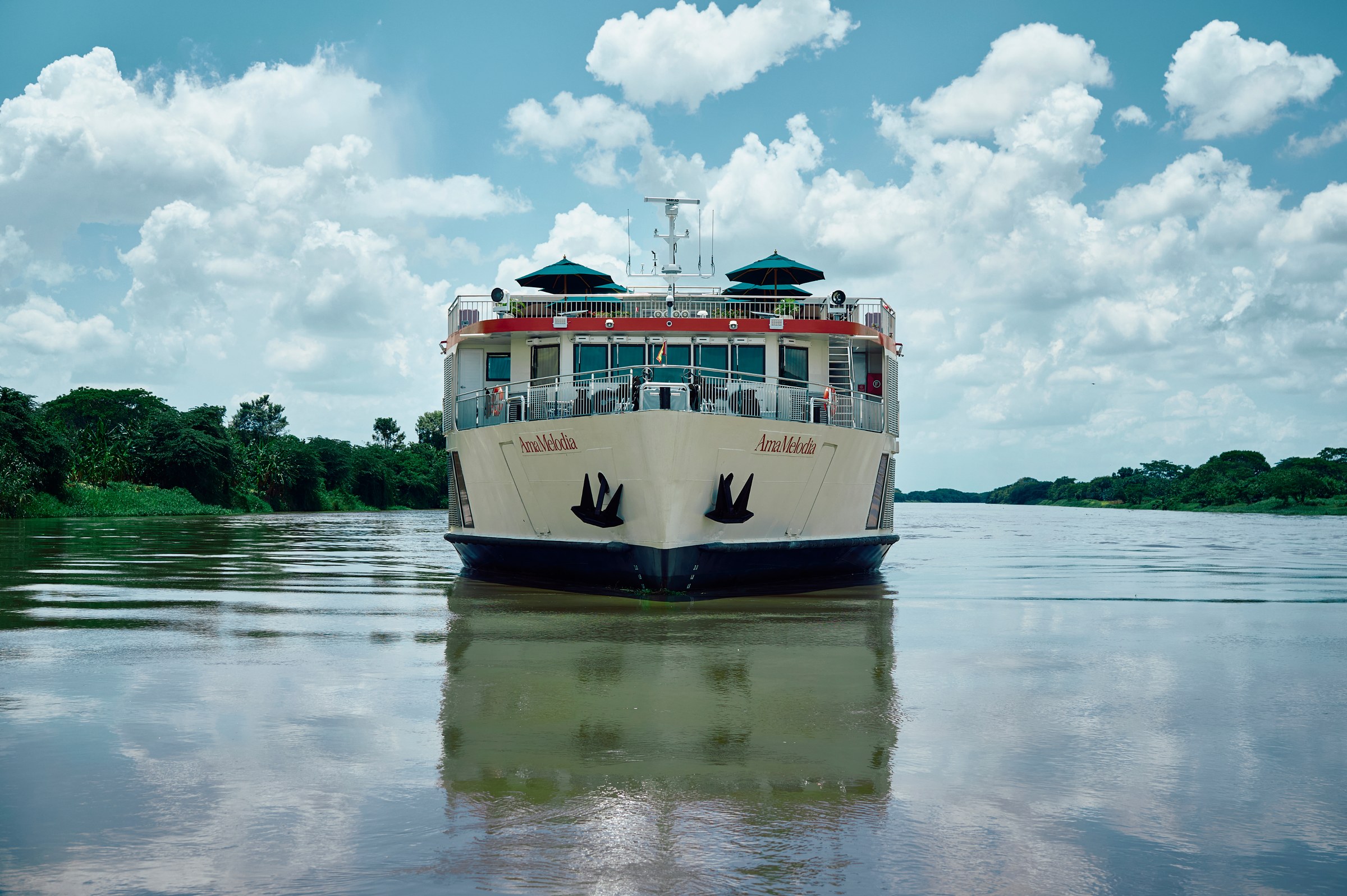 AmaMelodia bow view