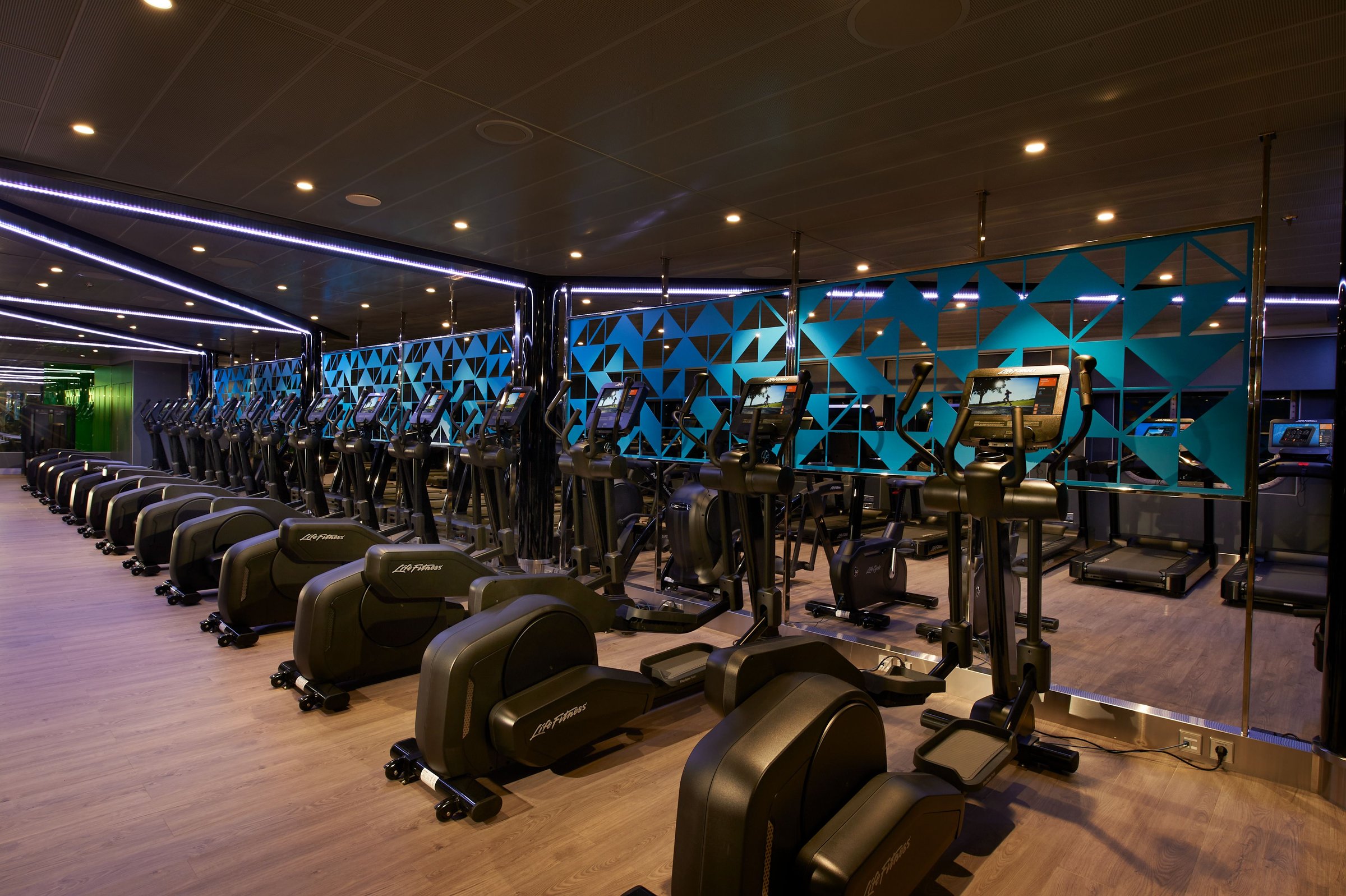 Carnival Celebration Cloud 9 fitness center with rows of cardio machines
