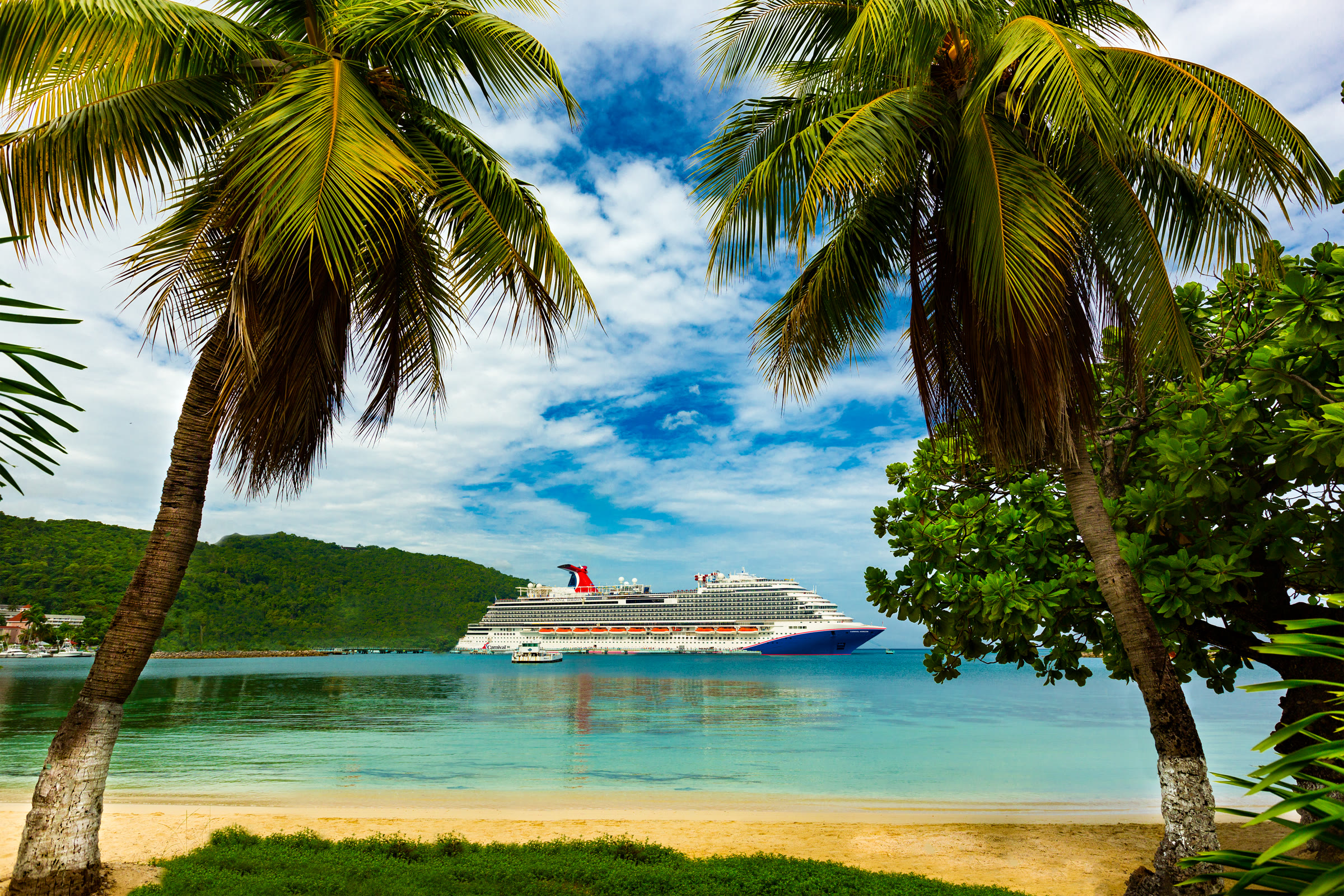 Carnival Horizon sunny exterior framed by palms at tropical bay