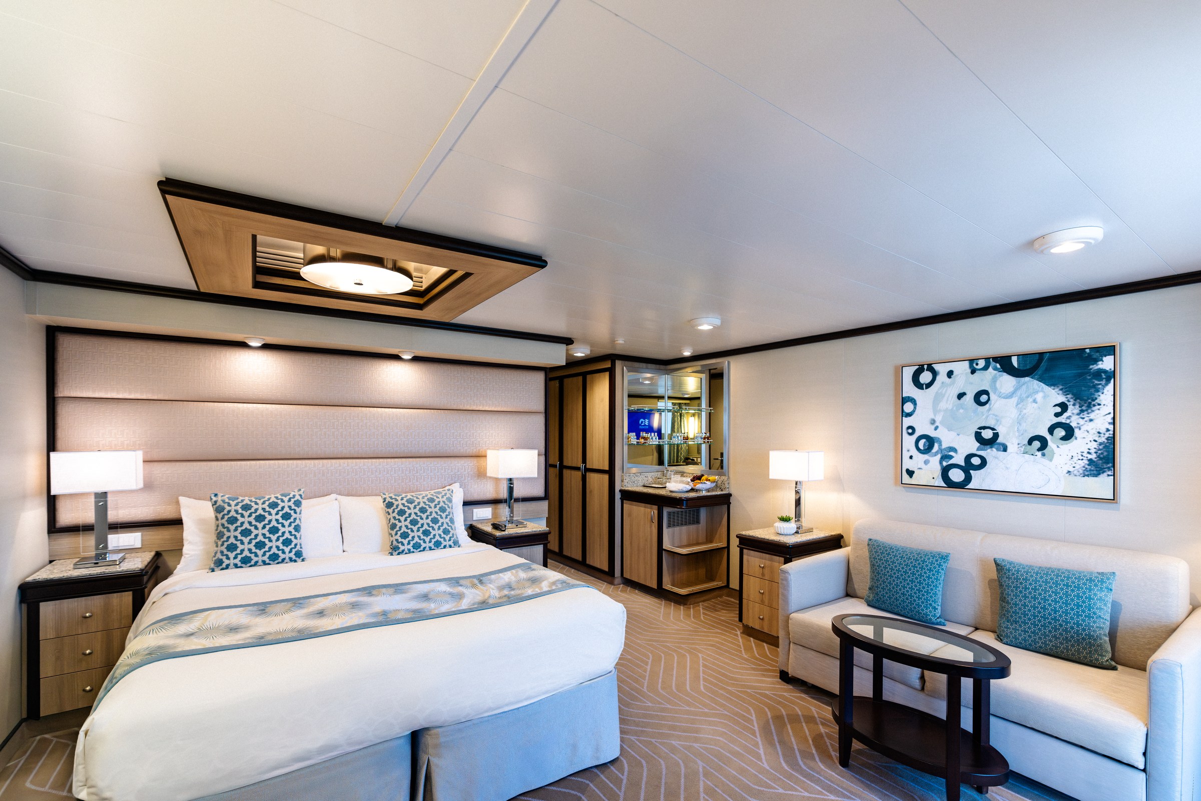 Discovery Princess Vista Suite
