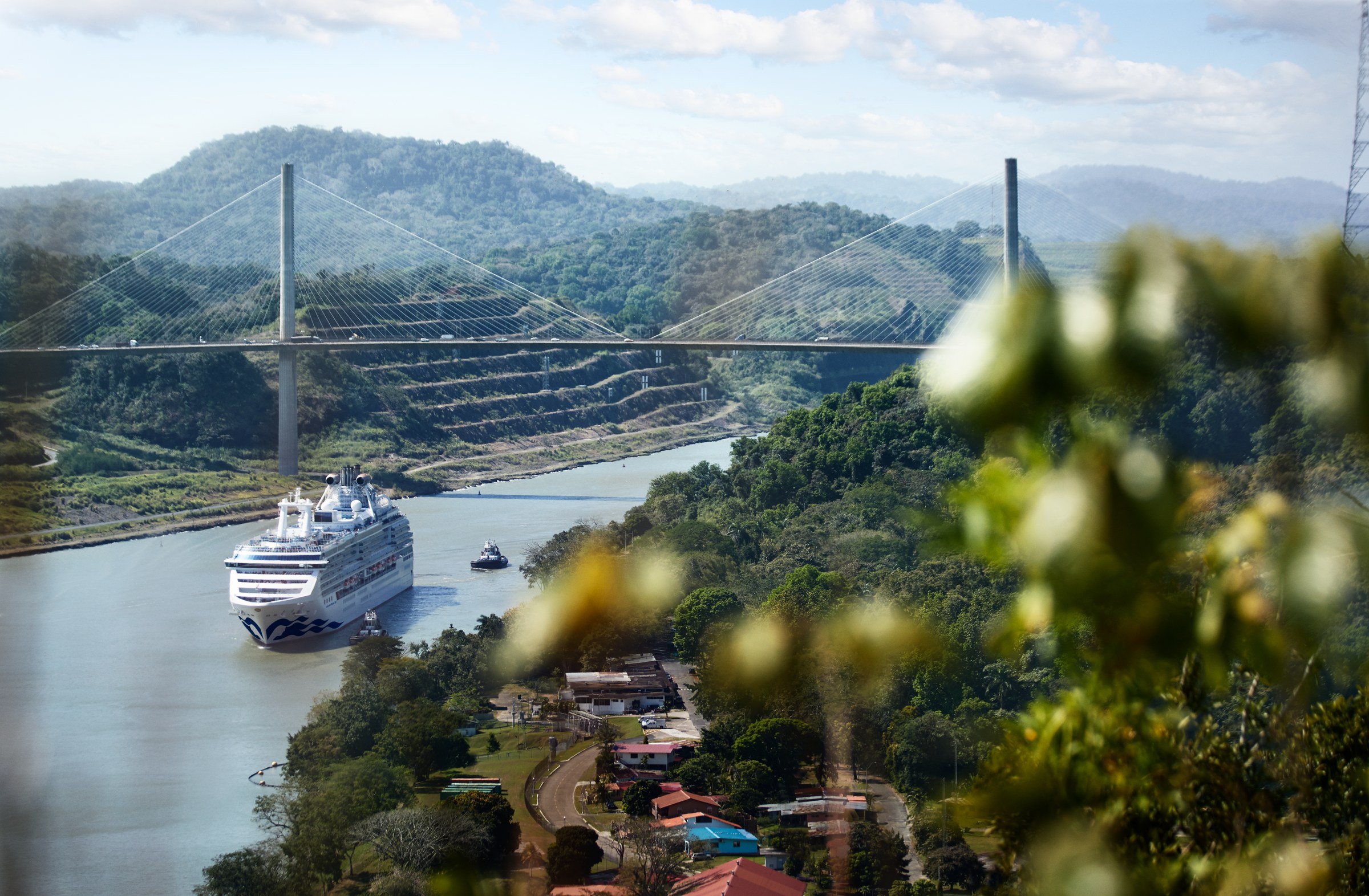 Island Princess in the Panama Canal framed by green foliage