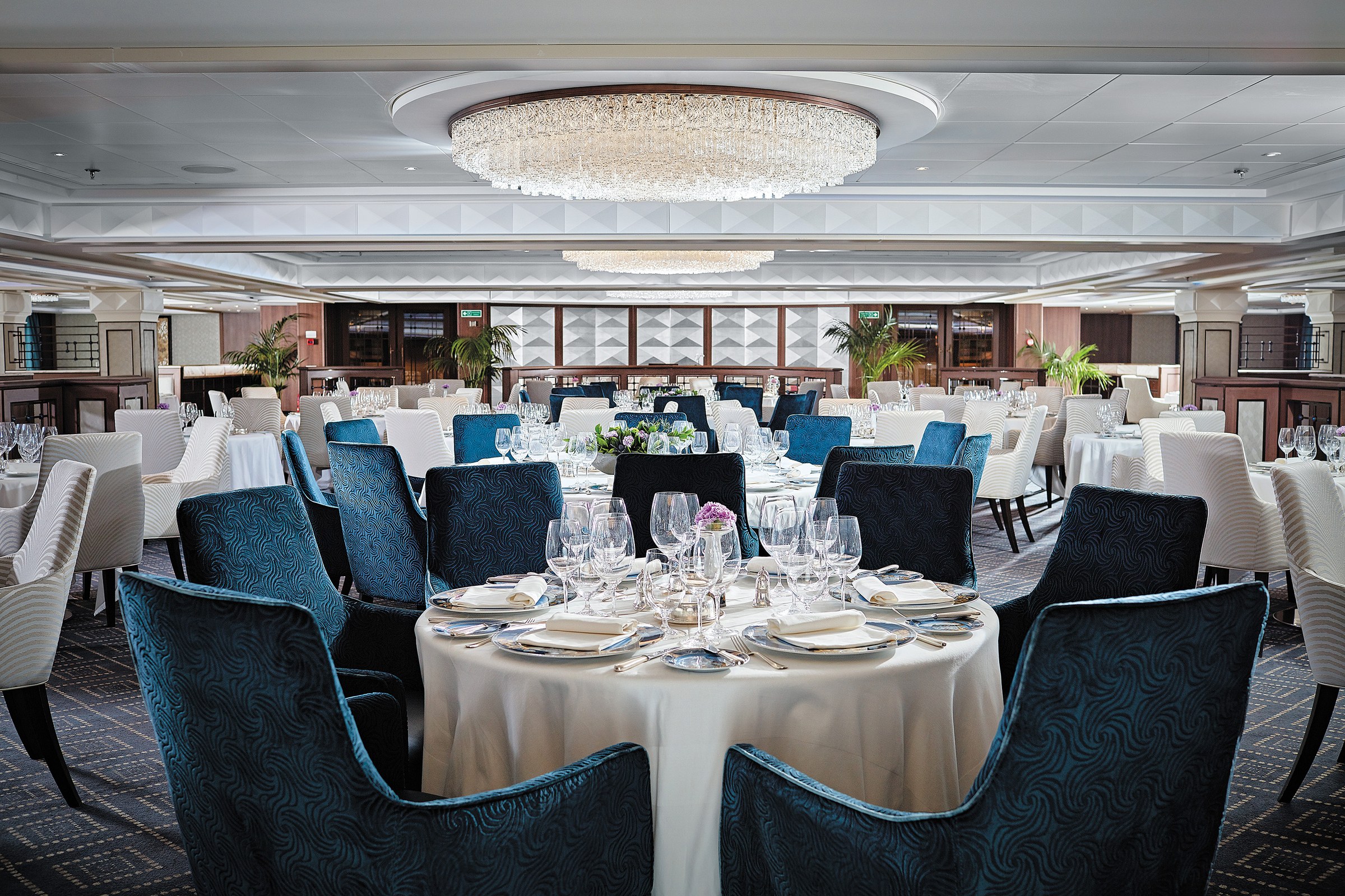 Seven Seas Navigator – Compass Rose